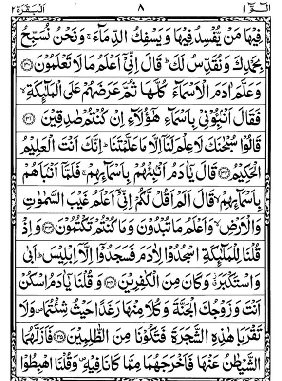 Quran Page - 8
