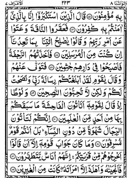 Quran Page - 223