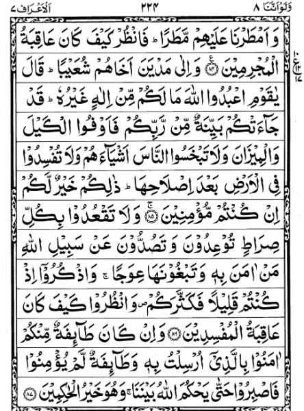 Quran Page - 224
