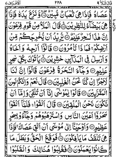 Quran Page - 228