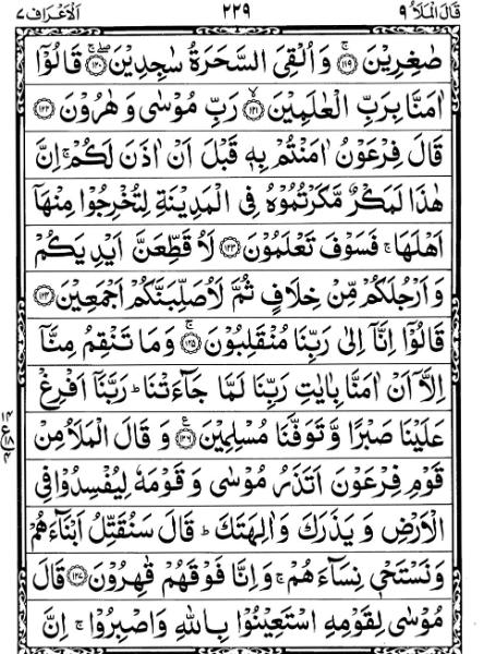 Quran Page - 229
