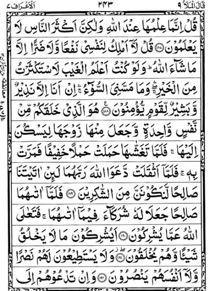 Quran Page - 243