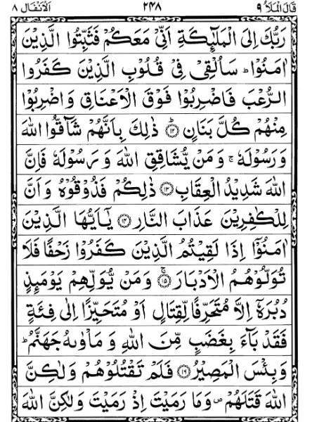 Quran Page - 248