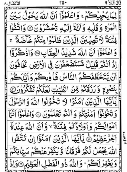 Quran Page - 250