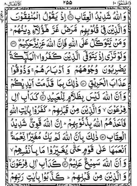 Quran Page - 255