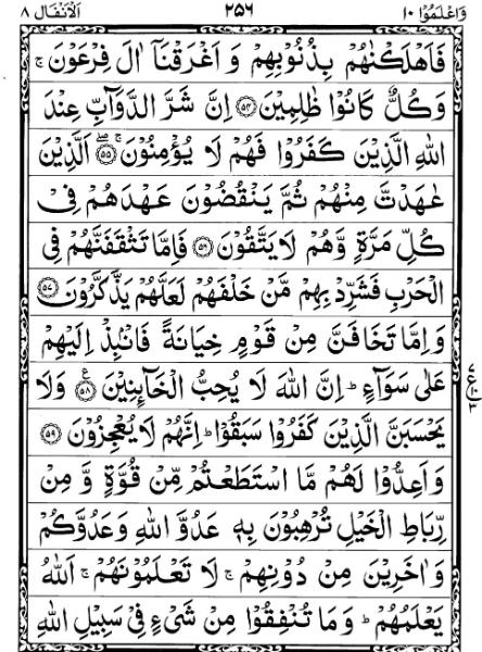 Quran Page - 256