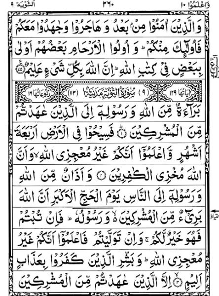 Quran Page - 260