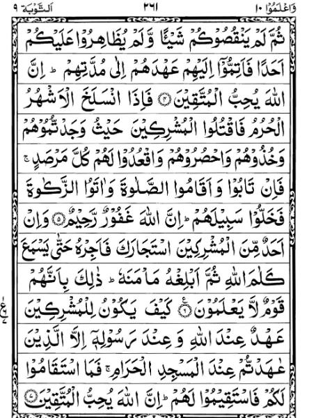 Quran Page - 261