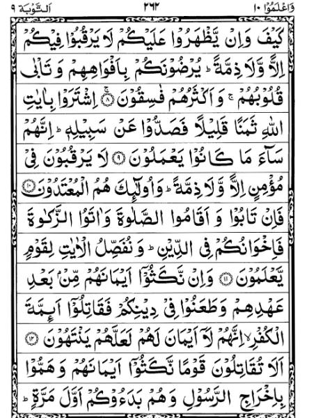 Quran Page - 262