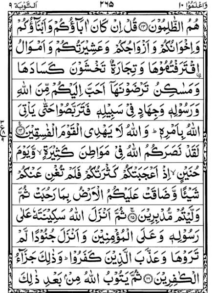 Quran Page - 265