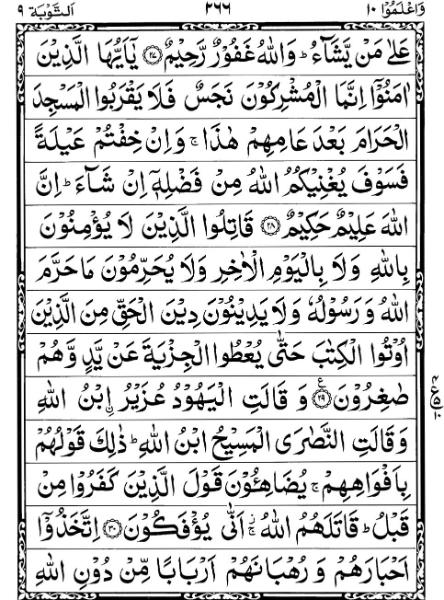 Quran Page - 266