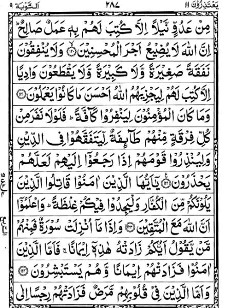Quran Page - 287