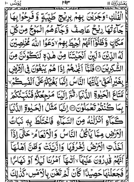 Quran Page - 293