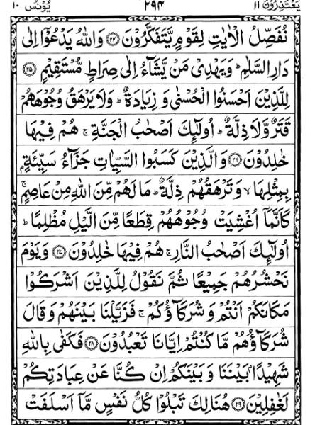 Quran Page - 294