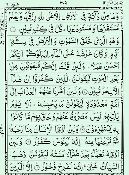 Quran Page - 309