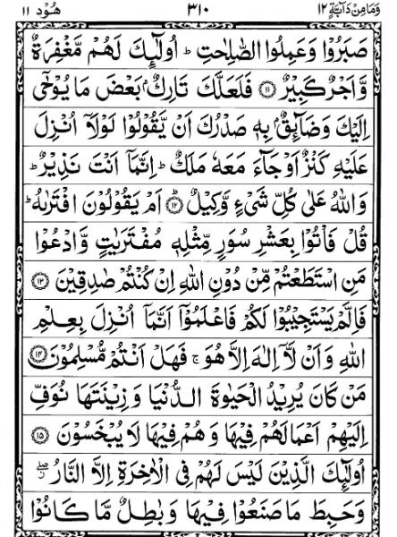 Quran Page - 310