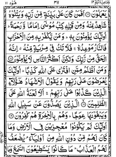 Quran Page - 311