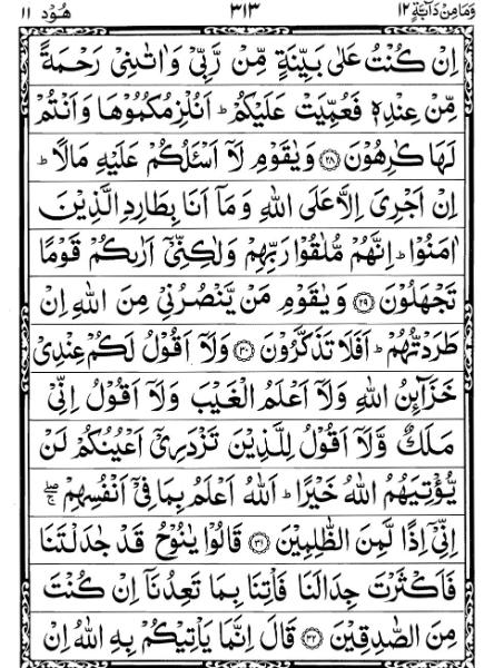 Quran Page - 313