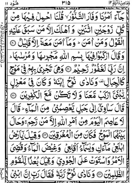 Quran Page - 315
