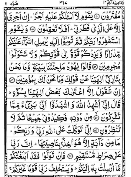 Quran Page - 317