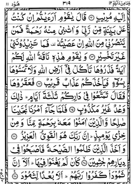 Quran Page - 319