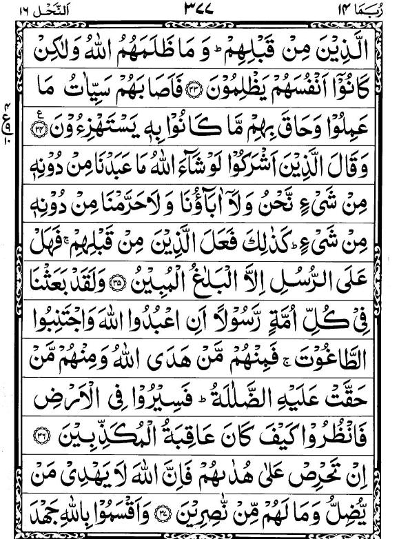 Quran Page - 377