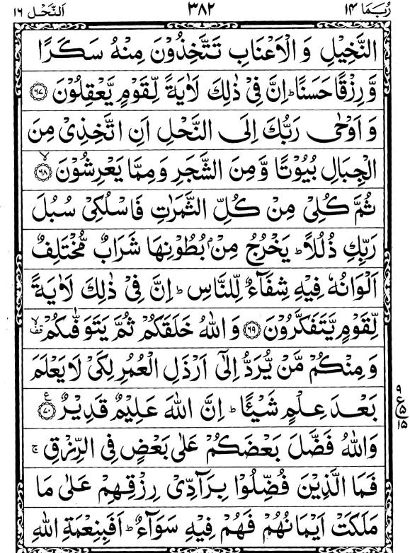 Quran Page - 382