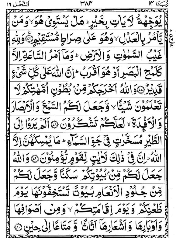 Quran Page - 384