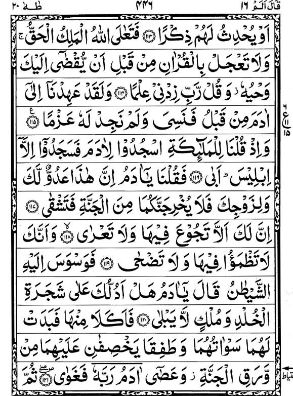 Quran Page - 446
