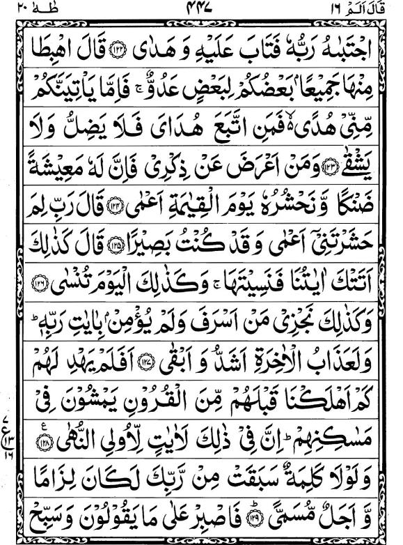 Quran Page - 447