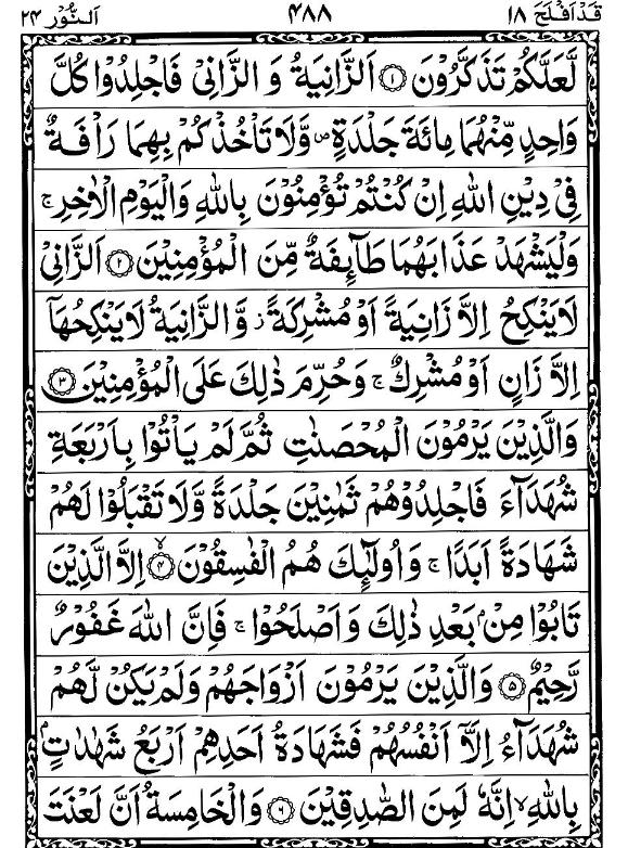 Quran Page - 488
