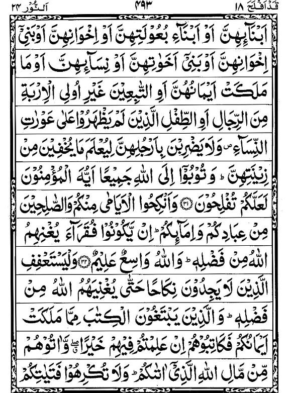 Quran Page - 493