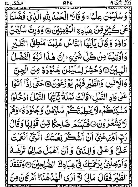 Quran Page - 527