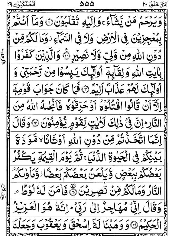Quran Page - 555