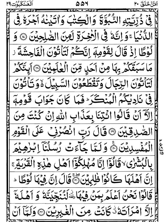 Quran Page - 556