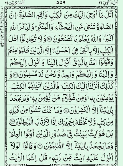 Quran Page - 559