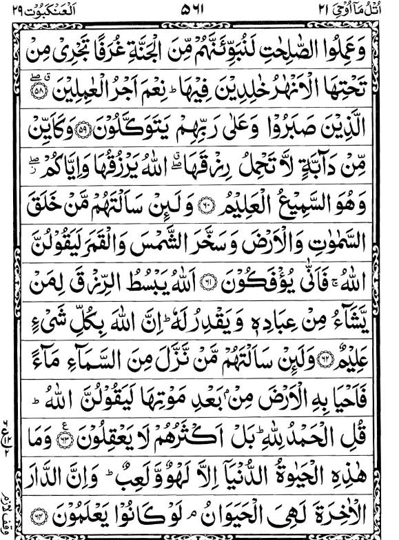 Quran Page - 561