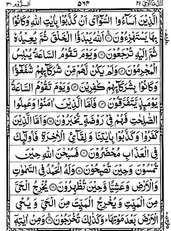 Quran Page - 564