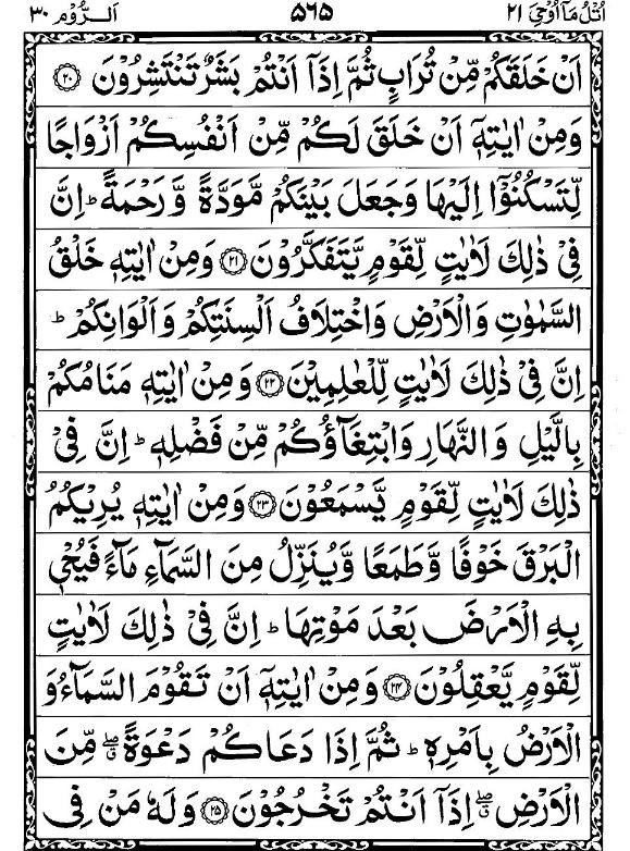 Quran Page - 565