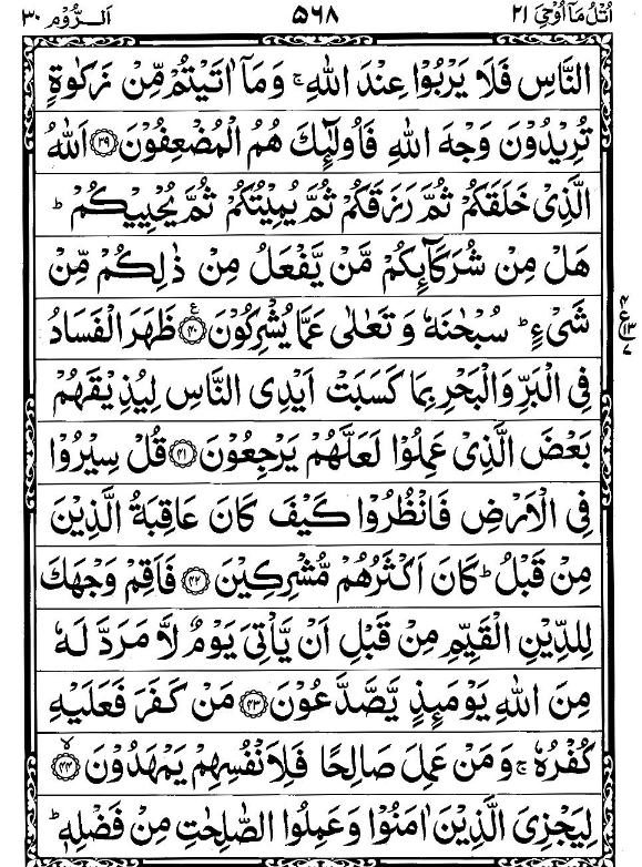Quran Page - 568