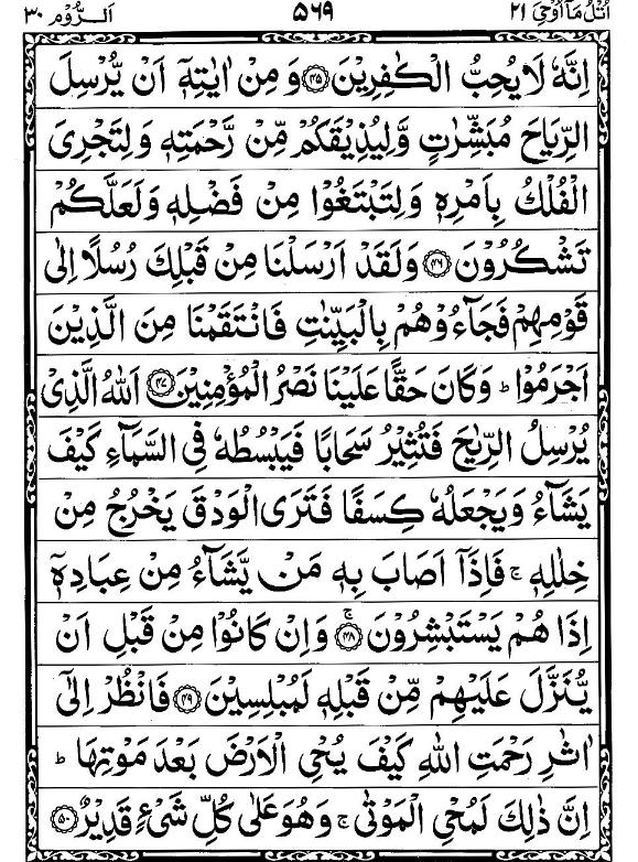 Quran Page - 569