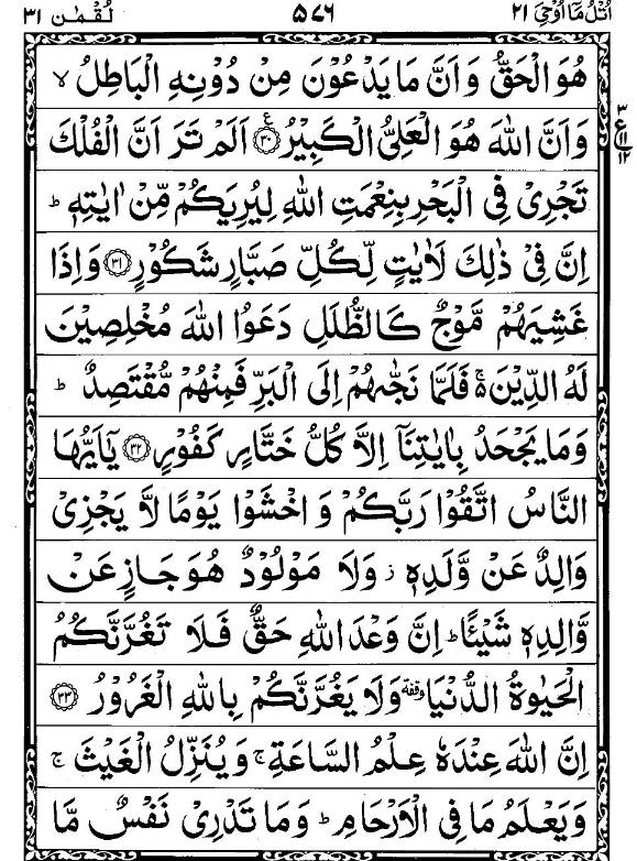 Quran Page - 576