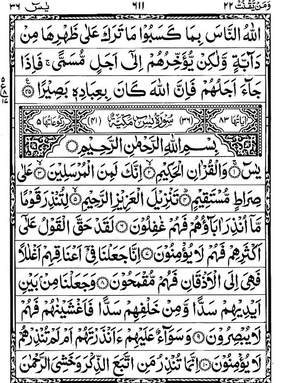 Quran Page - 611