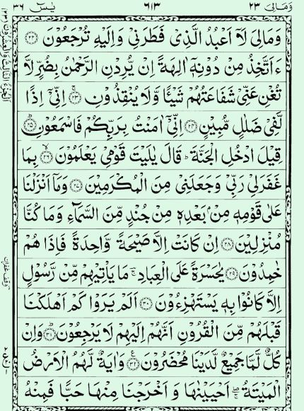 Quran Page - 613