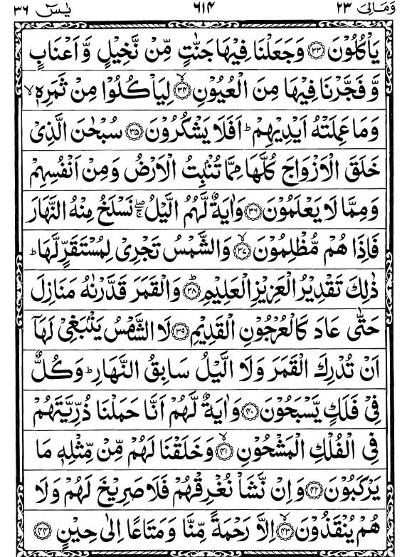 Quran Page - 614