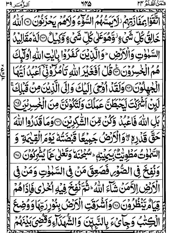 Quran Page - 645