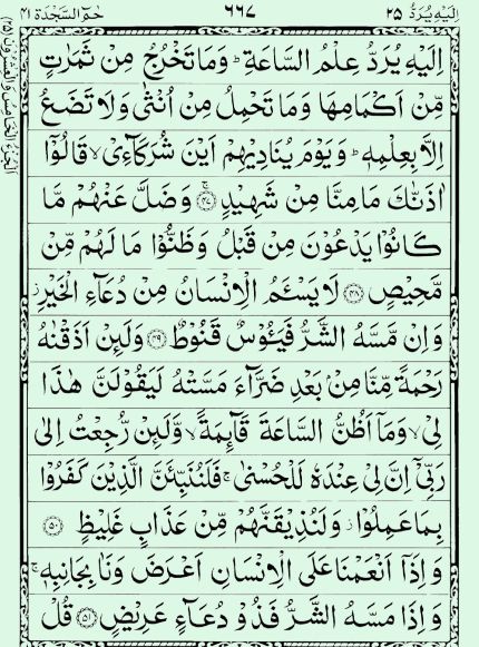 Quran Page - 667