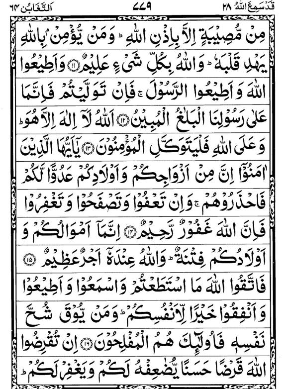 Quran Page - 779