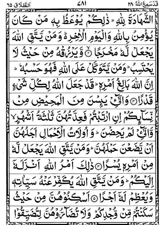 Quran Page - 781