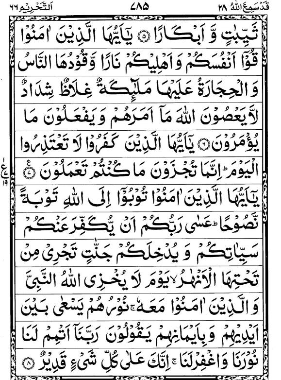 Quran Page - 785